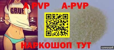 прущие грибы Нальчик