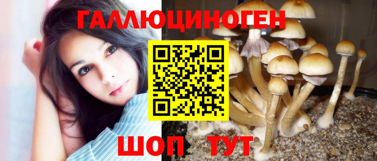 Псилоцибиновые грибы GOLDEN TEACHER Усолье-Сибирское